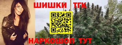 мдпв Можайск