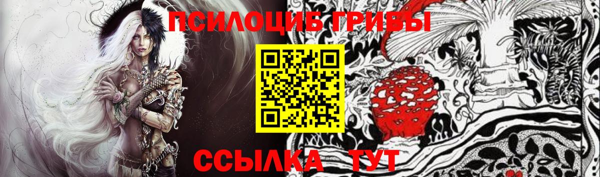 Галлюциногенные грибы Psilocybine cubensis Новошахтинск
